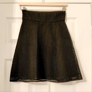 Club Monaco Lined Mesh A-line Skirt